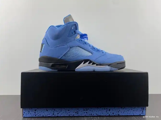 UNC 5 Jordan DV1310-401 Air 0226