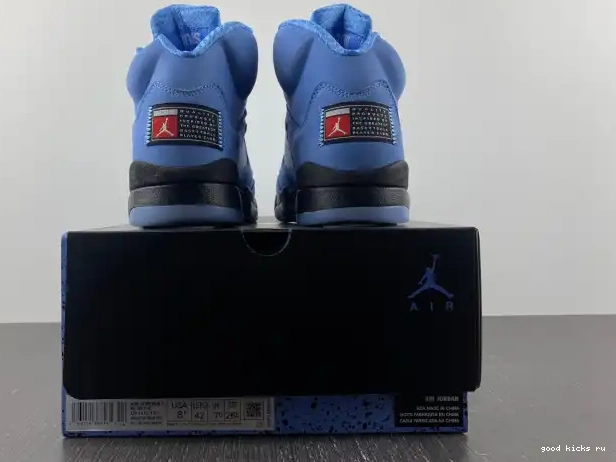 UNC 5 Jordan DV1310-401 Air 0226