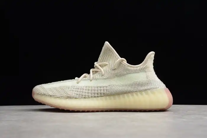 Adidas Yeezy Boost 350 V2 Lundmark Static FV3254 0205