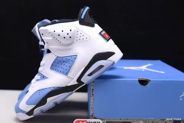 UNC Jordan 6 Air CT8529-410 0210