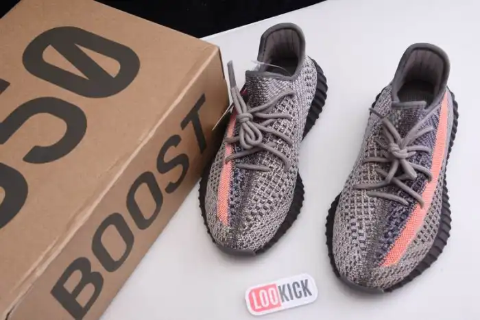 adidas Yeezy Boost 350 V2 Ash Stone GW0089 0205