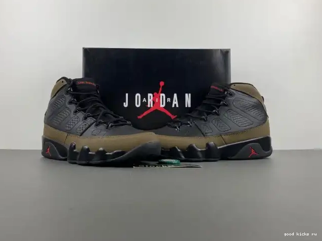 Air Jordan HV4794-030 Olive 9 0216