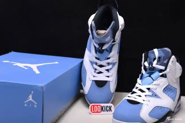 UNC Jordan 6 Air CT8529-410 0210