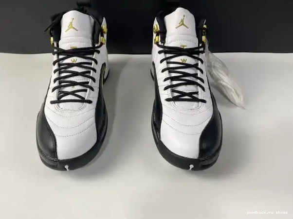 Royalty CT8013-170 Jordan Air 12 0211