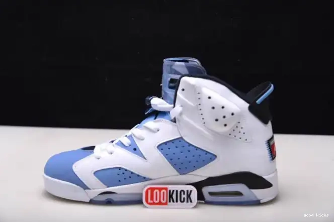 UNC Jordan 6 Air CT8529-410 0210