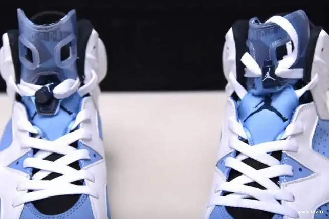 UNC Jordan 6 Air CT8529-410 0210