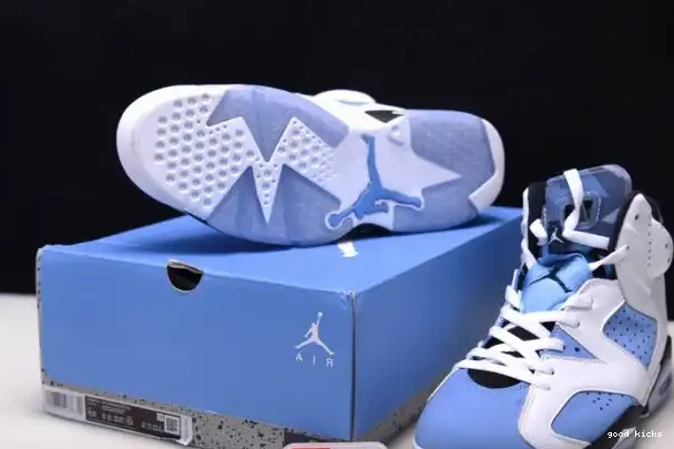 UNC Jordan 6 Air CT8529-410 0210