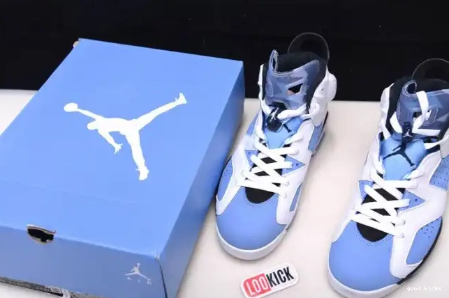 UNC Jordan 6 Air CT8529-410 0210