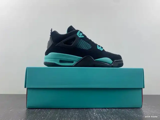 Jordan 4 Air DH6927-001 0210