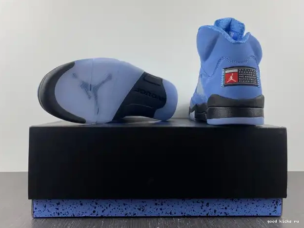 UNC 5 Jordan DV1310-401 Air 0226