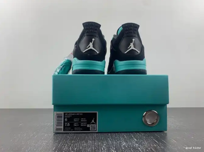 Jordan 4 Air DH6927-001 0210