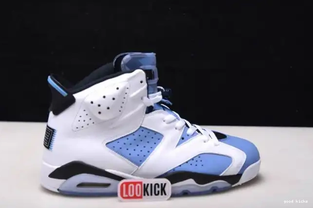 UNC Jordan 6 Air CT8529-410 0210