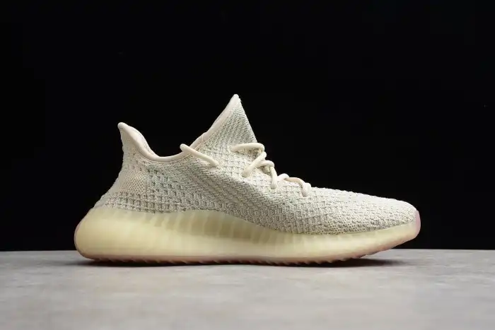 Adidas Yeezy Boost 350 V2 Lundmark Static FV3254 0205