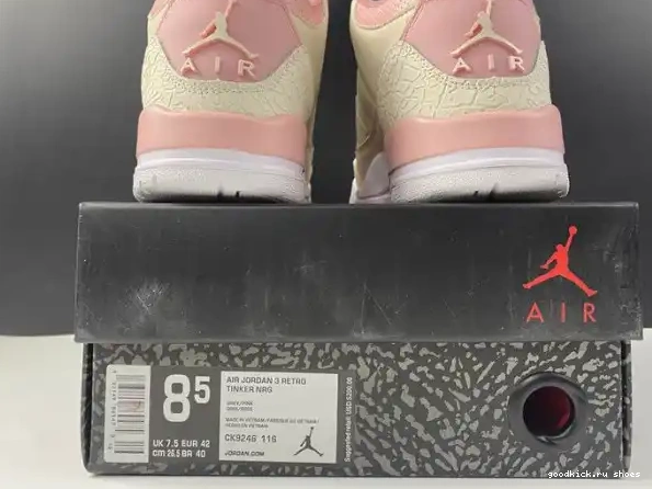 Pink 3 Retro CK9246-116 (W) Jordan Air Sail Rust 0216