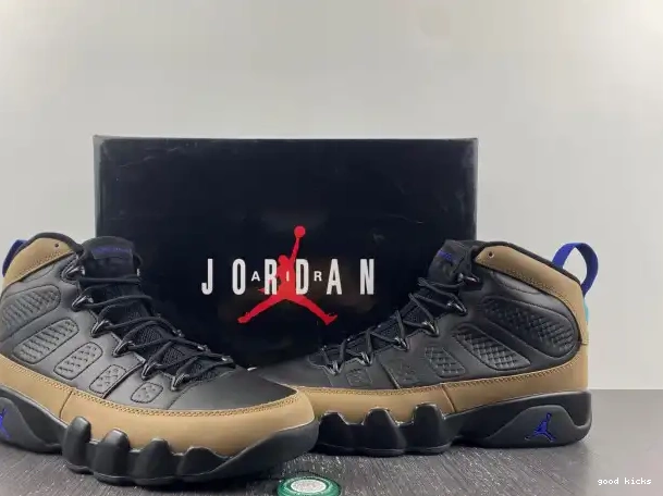 Retro CT8019-034 Olive Concord Air Jordan 9 0319